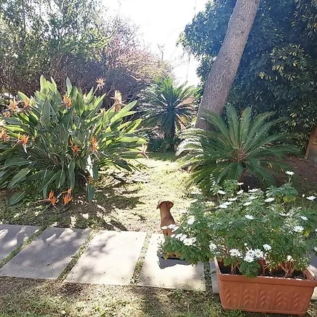 Luis&susy Home,