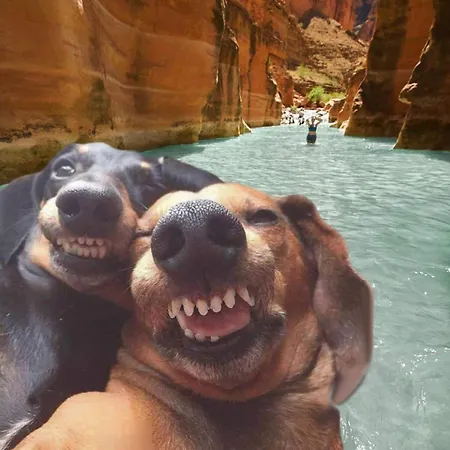 홈스테이 Luis&susy Home,