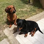 Luis&susy Home, * קליארי