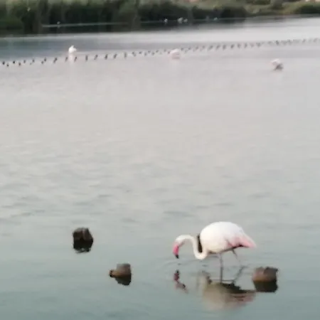 منزل للإقامة Luis&susy Home,