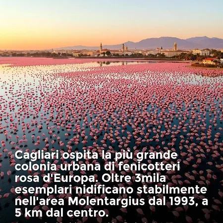 Luis&susy Home, كالياري